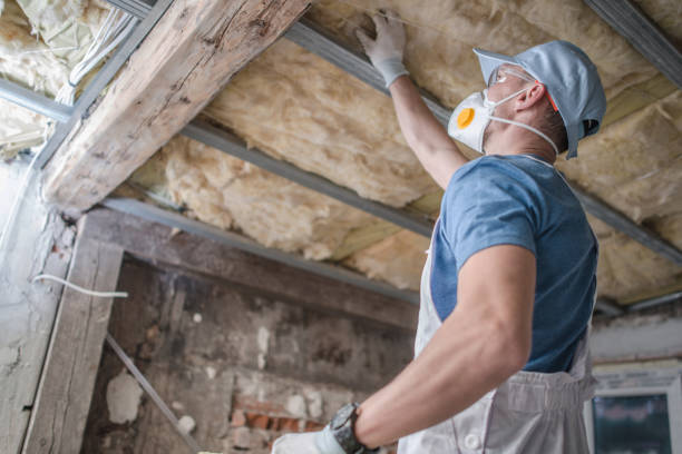 Best Eco-Friendly Insulation in Biltmore, TN