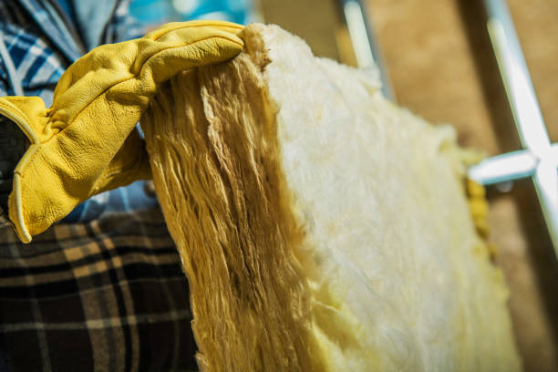 Types of Insulation We Offer in Biltmore, TN