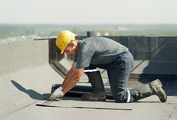 Best DIY Insulation Kits and Guidance in Biltmore, TN