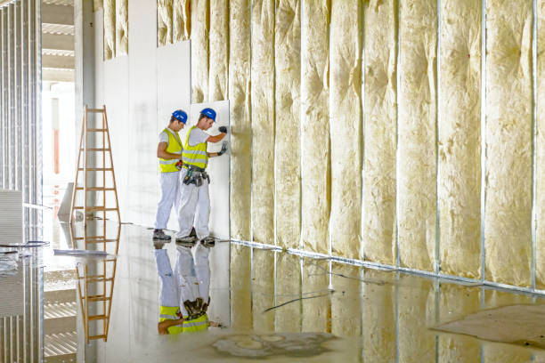 Professional Insulation Contractor in Biltmore, TN